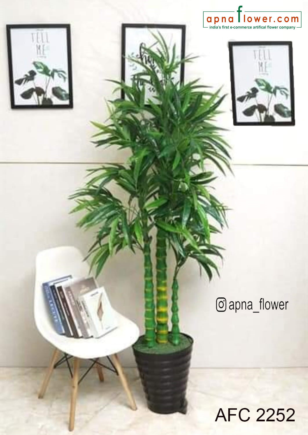 5 ft Green vietnami plant with pot