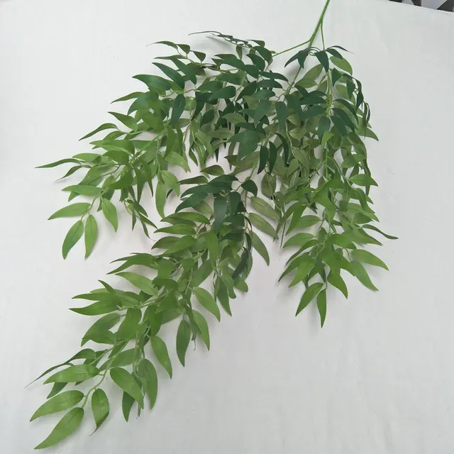 Hanging plant green willow stick