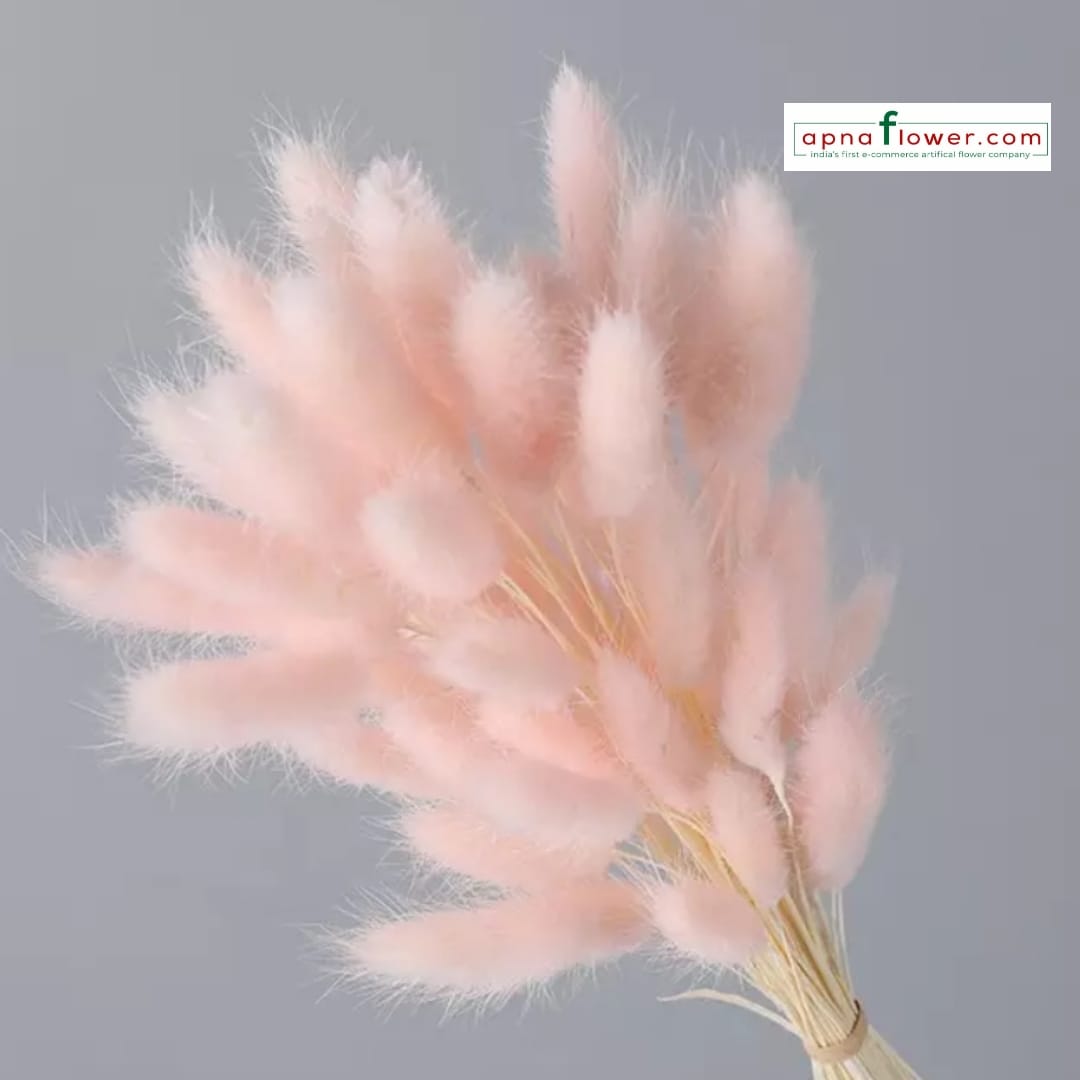 Imported dried bunny tails