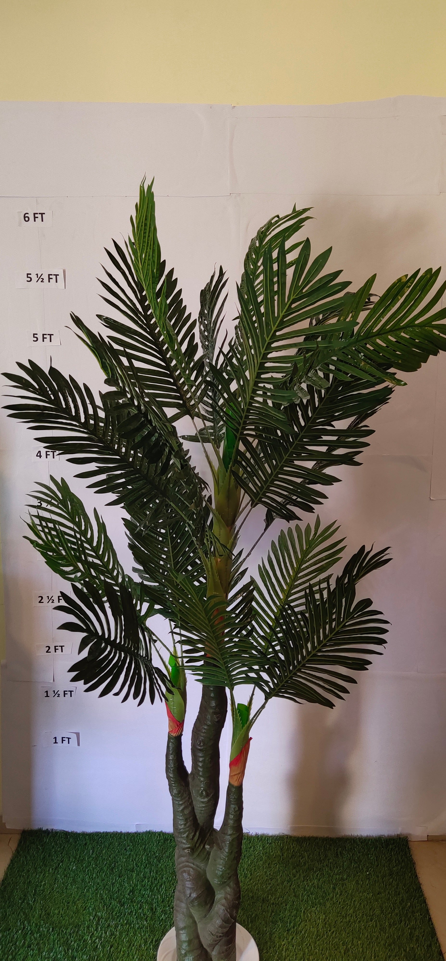 Palm Tree Triple Stem