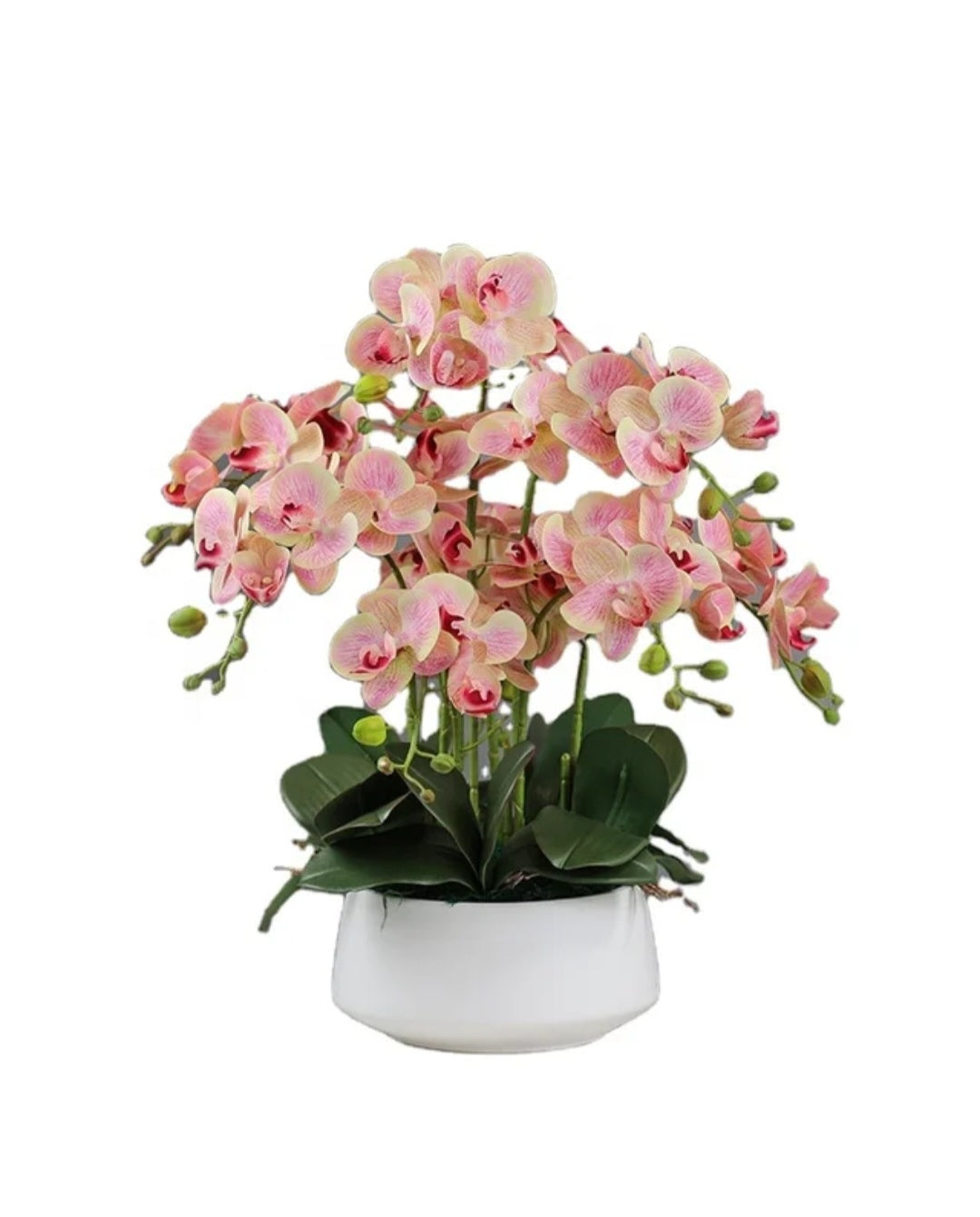 Butterfly orchid stick centre piece for decor