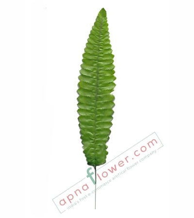 big fern leaf