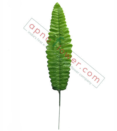 small fern leaf